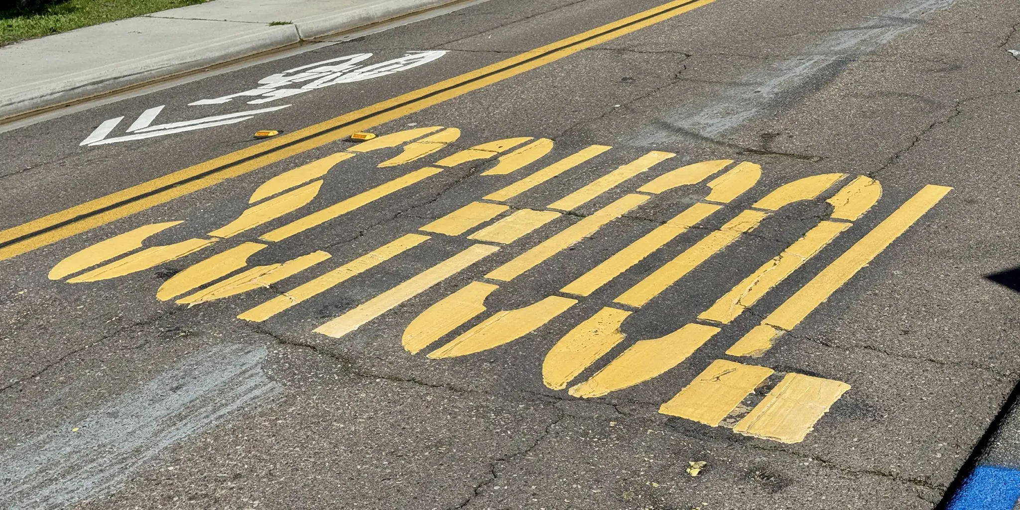 School zone pavement sign and sharrow on Requeza St in Encinitas, California