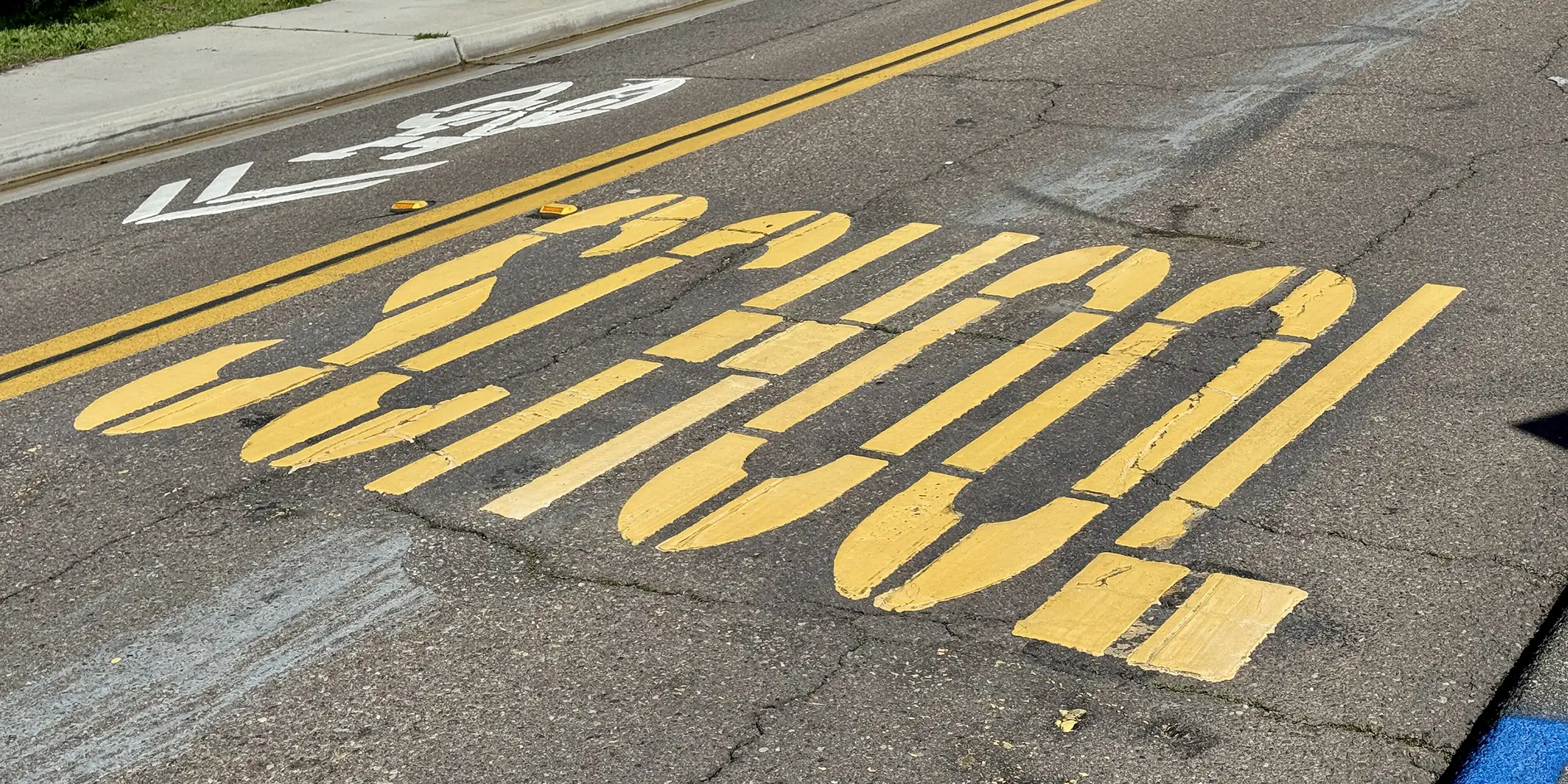 School zone pavement sign and sharrow on Requeza St in Encinitas, California